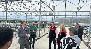 Edremit örtü altı tarımın merkezi olma yolunda