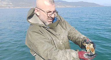 Eğirdir Gölü'nde 200 adet kerevit sepeti ele geçirildi