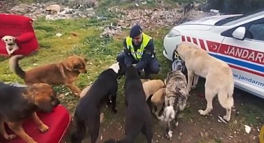Ekiplerin yaptığı çalışma yürekleri ısıttı