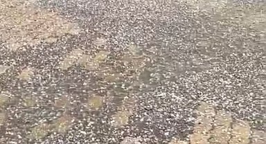 Elazığ'da misket büyüklüğünde dolu yağdı