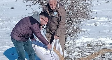 Elazığ'da yaban hayvanları için doğaya yem bırakıldı