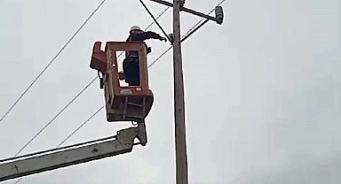 Elektrik direğinde mahsur kalan kediyi VEDAŞ ekipleri kurtardı