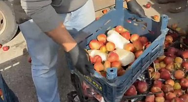 Elma kasalarının içinden 40 milyon TL'lik uyuşturucu çıktı
