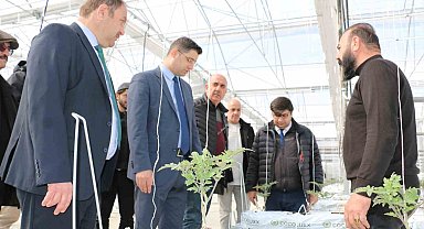 Erzincan'da jeotermal ısıtmalı topraksız serada ilk fideler dikildi