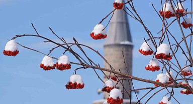 Erzurum hafta sonuna kadar kar yağışı bekleniyor