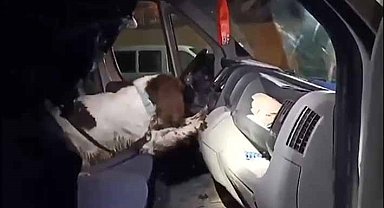 Ev ve arabalarında uyuşturucu çıkan 6 zehir taciri tutuklandı