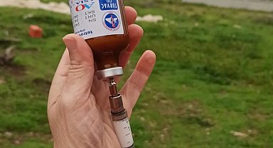Fethiye'de şap hastalığı ile mücadele sürüyor