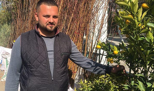 Fidan satışları başladı