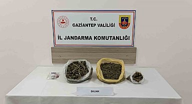Gaziantep'te skunk operasyonu: 1 tutuklama