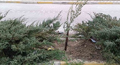 Gelecek nesillere daha yeşil bir mahalle bırakacaklar