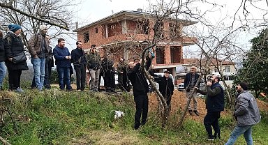 Görele'de fındıkta verimin artırılması için uygulamalı fındık bahçesi kuruldu