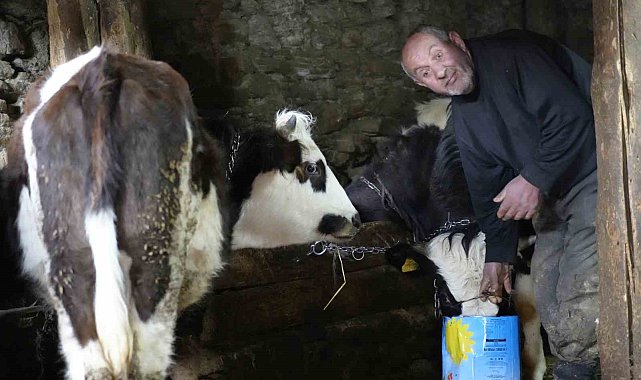 Görmeyen gözlerine rağmen hayvancılık yaparak hayata tutunuyor