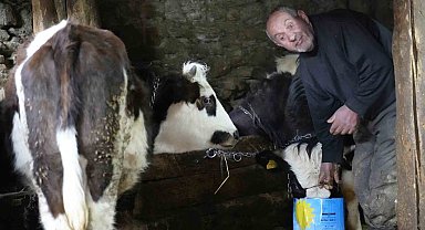 Görmeyen gözlerine rağmen hayvancılık yaparak hayata tutunuyor