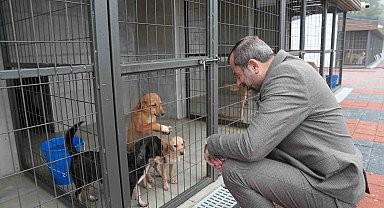 Gürsu Belediyesi 3 ayda 860 sokak hayvanına şifa dağıttı