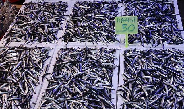 Hamsi bereketi ihracat rakamlarına da yansıdı
