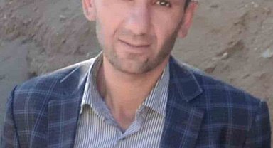 Hizan'da üzerine ağaç devrilen adam hayatını kaybetti