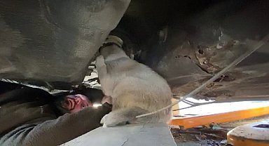 Hurda aracın alt kısmına sıkışan köpek kurtarıldı