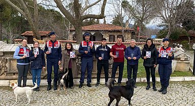 Jandarma ekipleri antik kent ziyaretçilerini bilgilendirdi