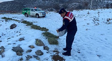Jandarma, karlı dağlarda yaban ve sokak hayvanlarını yalnız bırakmıyor