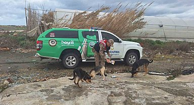 Jandarma sokak hayvanlarını unutmuyor