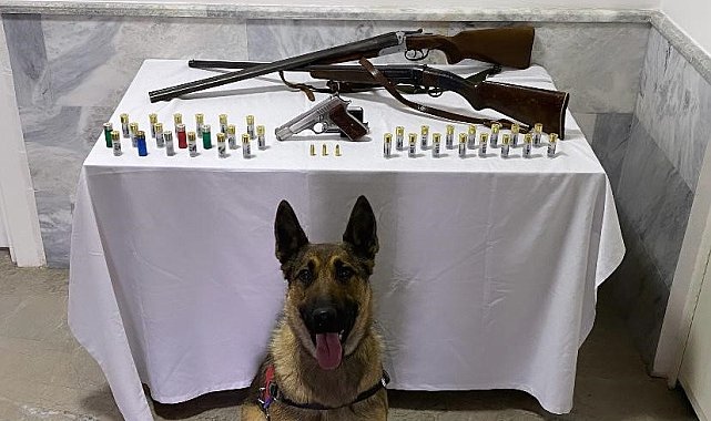 Jandarma yaptığı baskında 3 ruhsatsız silah ele geçirdi
