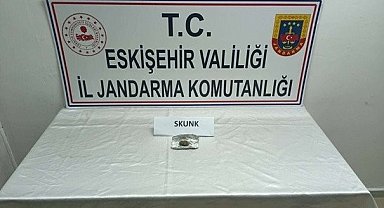 Jandarmadan uyuşturucu operasyonu