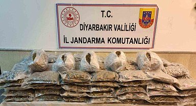 Jandarmanın durdurduğu araçta satışa hazır 67 kilo esrar ele geçirildi