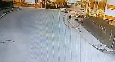 Kandıra'da okula giden çocuğa 2 köpek saldırdı