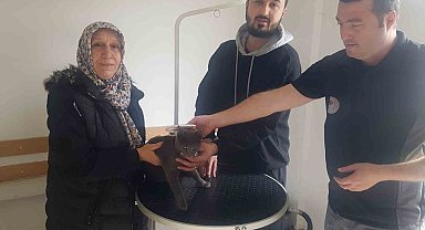 Kayıp kedi mikroçip sayesinde bulundu