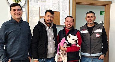 Kırklareli'de kaybolan köpek çip sayesinde bulundu