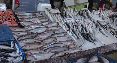 Kışın eksik kalan D vitamini bağışıklığı düşürüyor