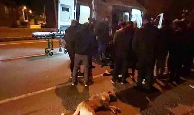 Köpeğe çarpan motosiklet sürücüsü yaralandı