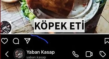 Köpek eti satışı iddiasında gerçek ortaya çıktı