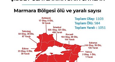 Korkutan rapor: Türkiye'de şiddet olaylarında Sakarya 6'ncı sırada
