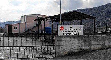 Kulp'ta açık hayvan pazarı inşa edildi