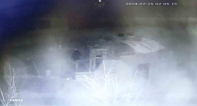 Kümes hırsızının rahat tavırlar sergileyerek tavuk çalması güvenlik kamerasında