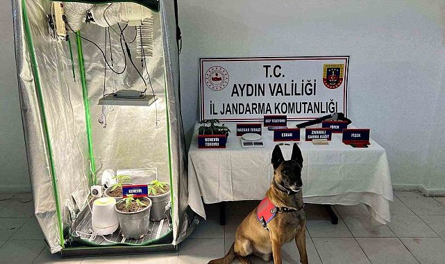 Kuşadası'nda uyuşturucu operasyonu