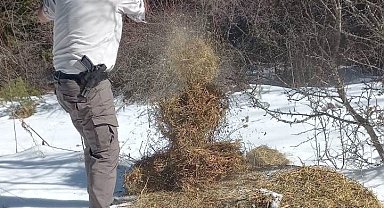 Kütahya DKMP'den yaban hayvanlarını yemleme çalışması