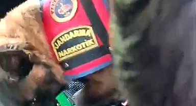 Kütahya'da jandarmanın uyuşturucu operasyonunda 2 kişi tutuklandı