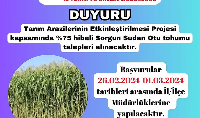 Kütahya'da üreticilere yüzde 75 hibeli sorgun sudan otu tohumu dağıtılacak