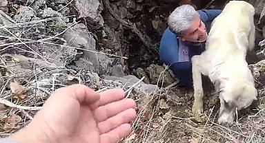 Kuyuya düşen köpeğe vatandaştan yardım eli