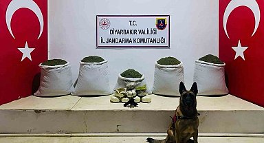 Lice'de 91 kilo esrar ele geçirildi