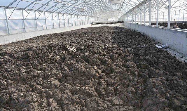 Manisa'da 35 bin ton arıtma çamuru bertaraf edildi