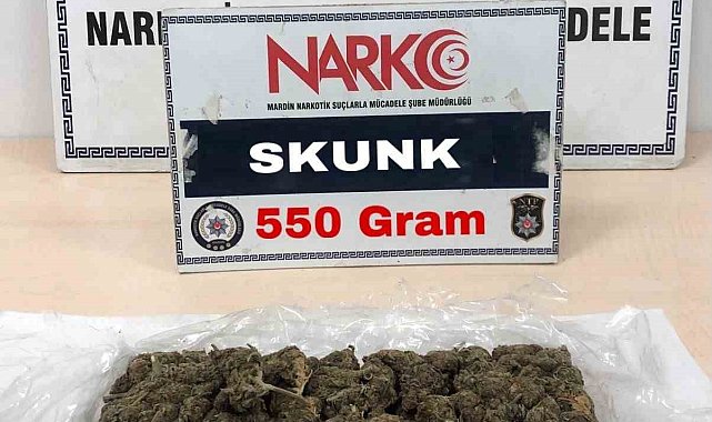 Mardin'de uyuşturucu operasyonu: 2 şüpheli gözaltına alındı