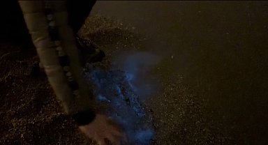 Marmara Denizi maviye boyandı, görenler şaşkına döndü