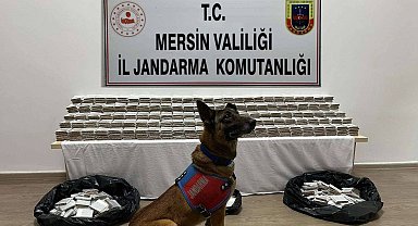 Mersin'de 61 bin 700 adet kaçak makaron ele geçirildi