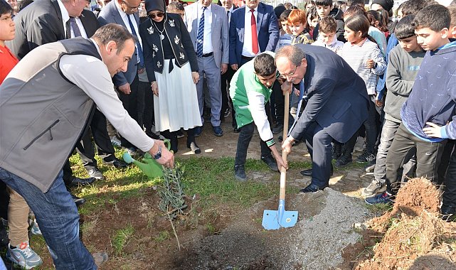 Mersin'de okul bahçelerine 600 zeytin fidanı dikildi