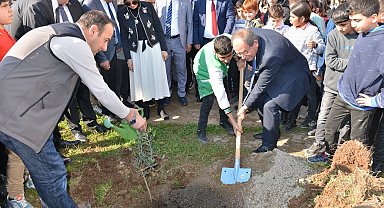 Mersin'de okul bahçelerine 600 zeytin fidanı dikildi