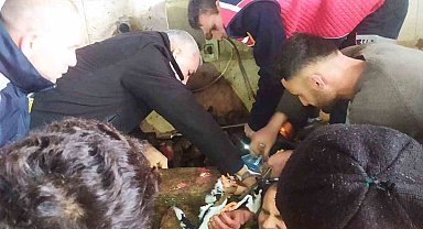Mezbahada işçi kolunu makineye kaptırdı