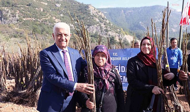 Muğla Büyükşehir Belediyesi 53 bin adet meyve fidanı dağıtıyor